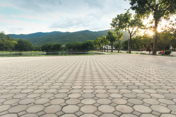 Best Custom Driveway Pavers  in Shawneetown, IL