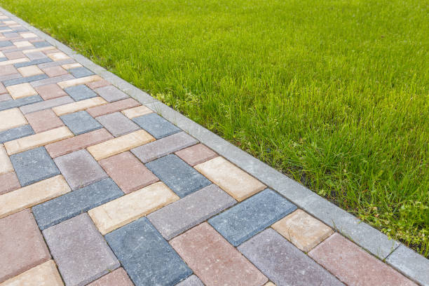 Best Local Driveway Pavers  in Shawneetown, IL